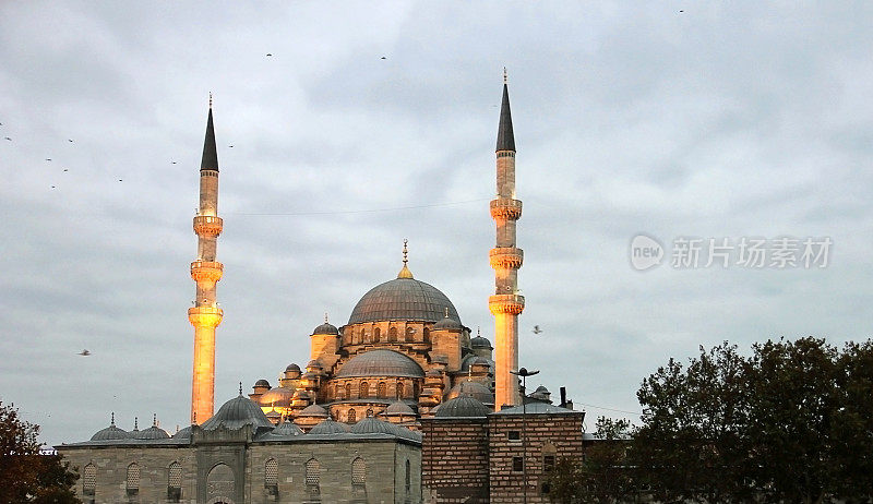 Yeni Camii -新清真寺，伊斯坦布尔，土耳其